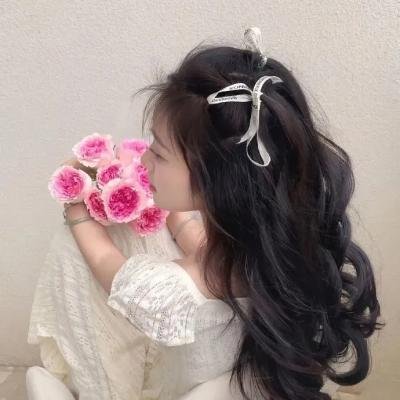 翻译家~长崎翻译异闻~